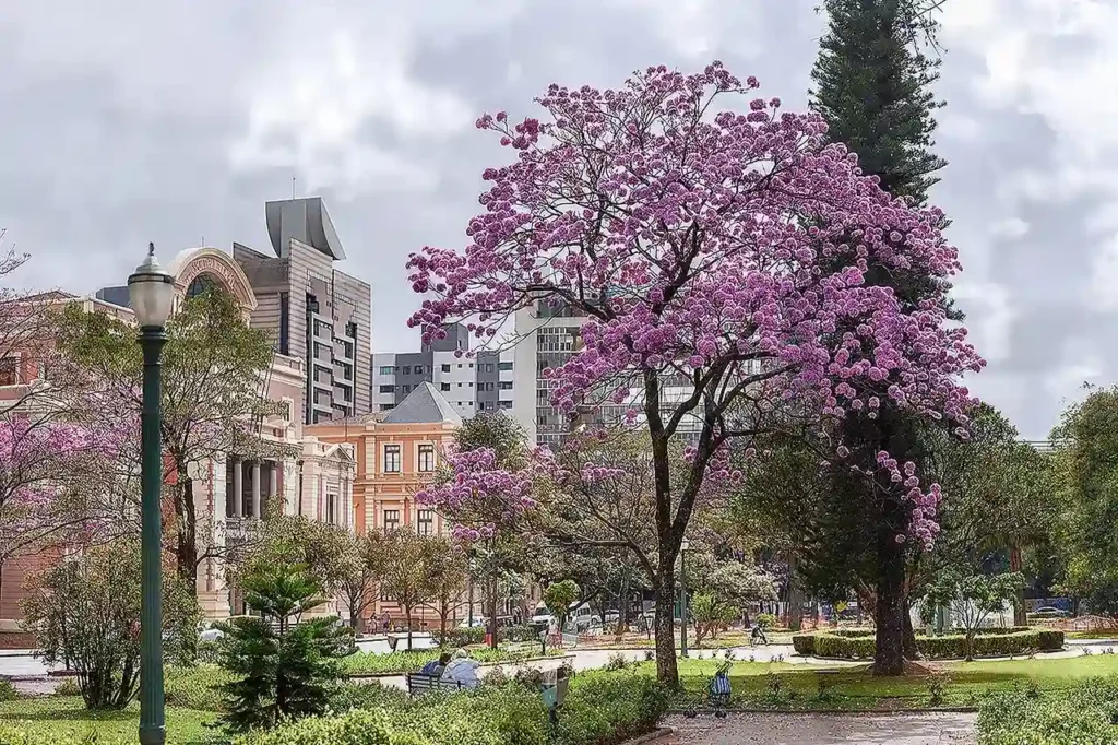O que não deixar de fazer em Belo Horizonte?