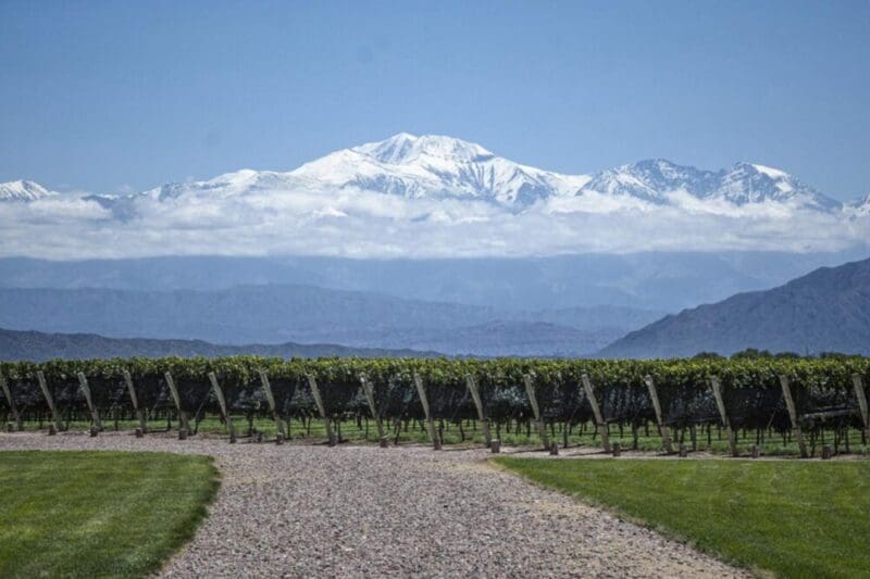 O que fazer em Mendoza: guia completo da cidade argentina