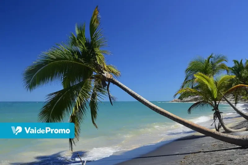 Melhores praias da Bahia: atrações no sul e no norte do estado!
