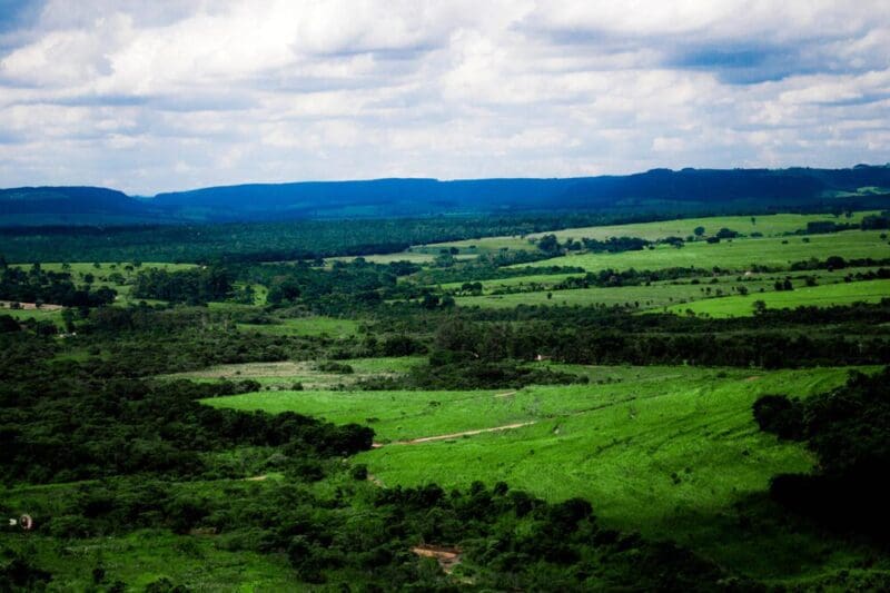 Brotas, SP: melhores pontos turísticos, informações e dicas!