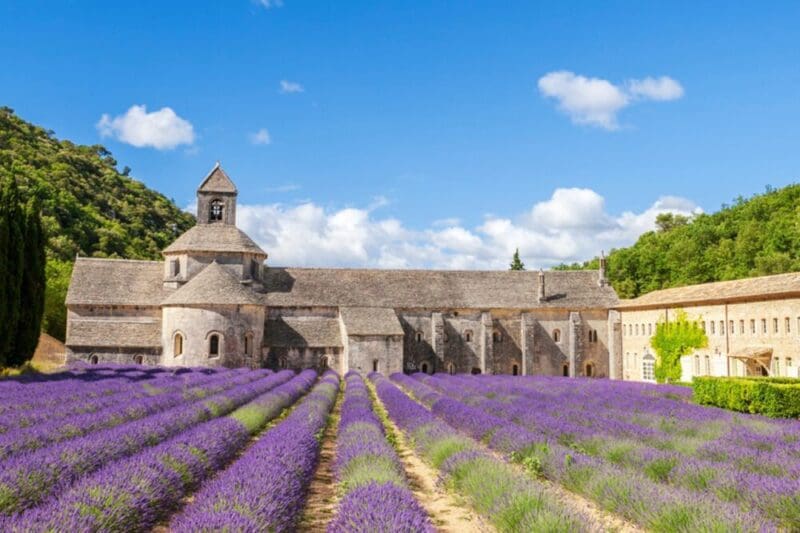 Provence: conheça a região pitoresca no sul da França!