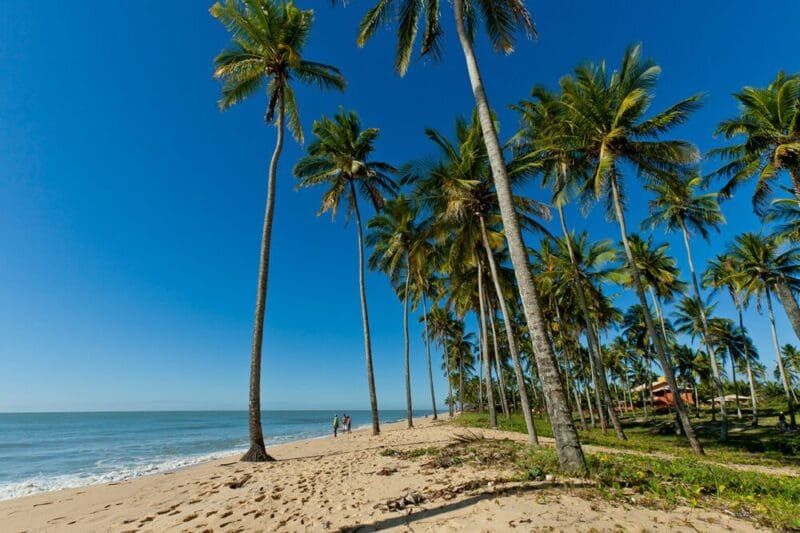 Prado, Bahia: descubra o melhor do sul do estado!