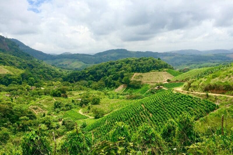 Bonito, PE: o que fazer na cidade durante a sua viagem!