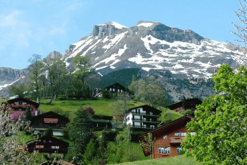 Alpes suíços: tudo que você precisa saber para visitar!