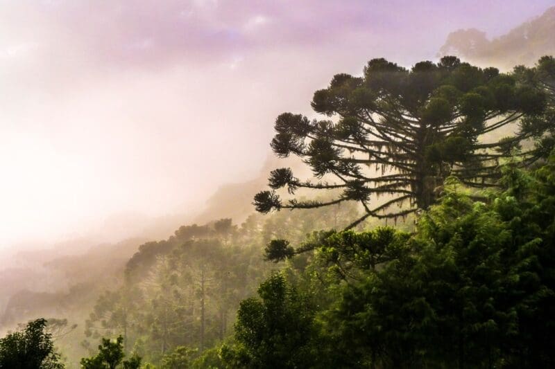 Lugares para conhecer em SC no inverno: 15 atrações imperdíveis