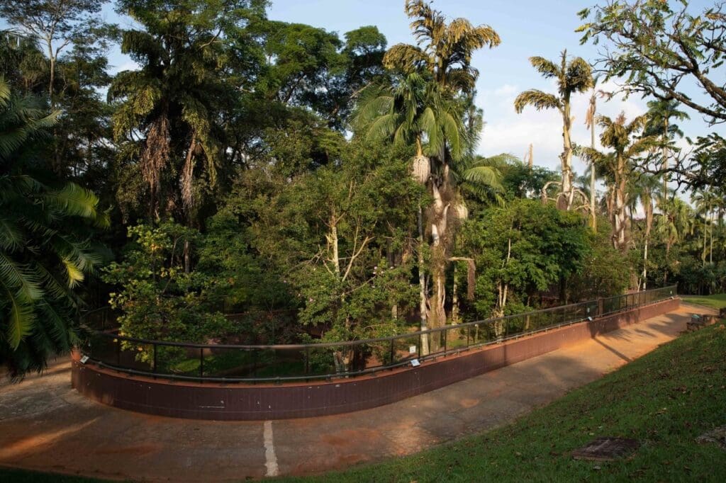 O que tem de graça para fazer em São Paulo com criança