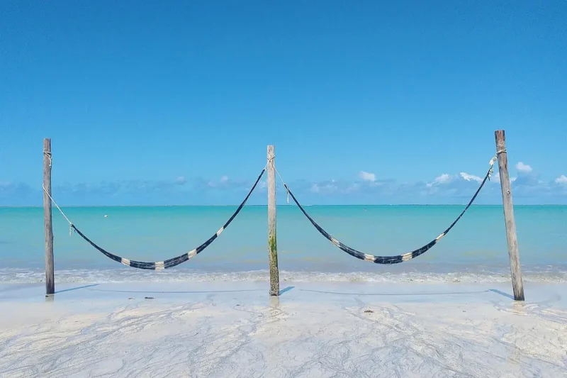 Praias em Alagoas: conheça as melhores e saiba quais visitar!