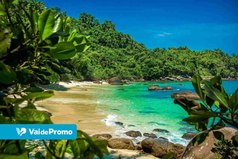 Ilha das Couves: tudo sobre o maior ponto turístico de Ubatuba