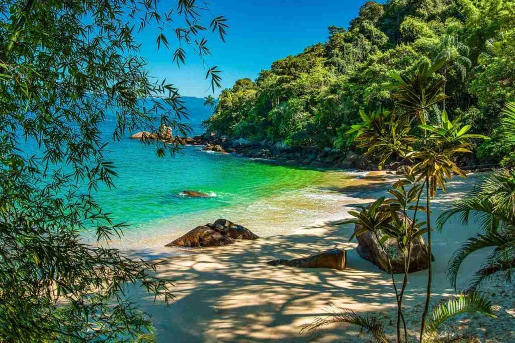 Informações sobre a Ilha das Couves