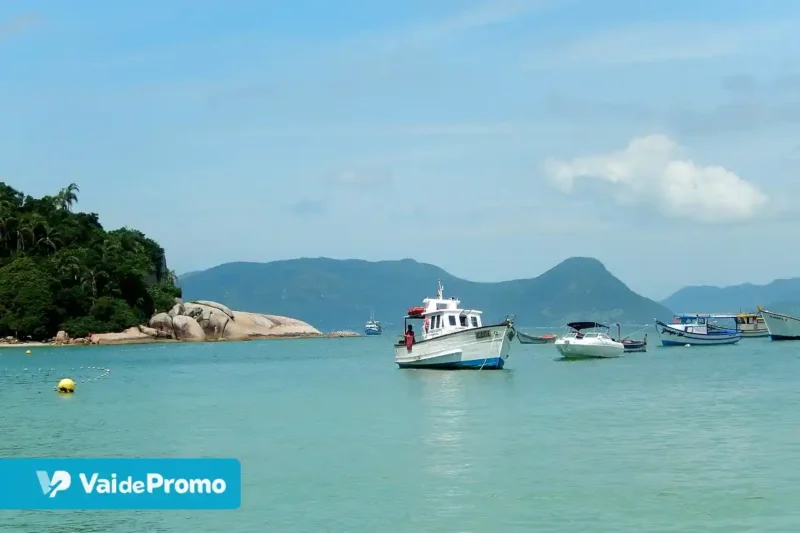 Ilha do Campeche: como visitar e o que fazer em 2025!