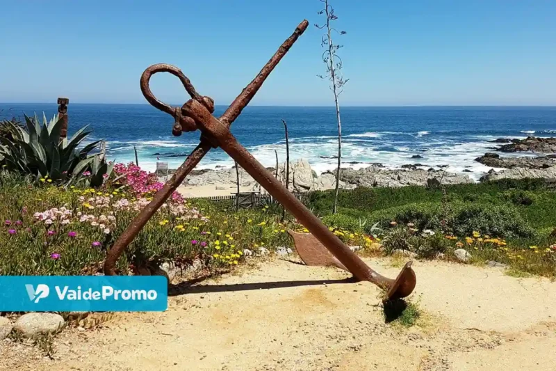 Isla Negra: 5 passeios imperdíveis no litoral chileno!