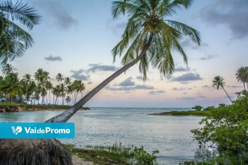 Férias de verão: destinos imperdíveis para curtir no Brasil e no exterior!