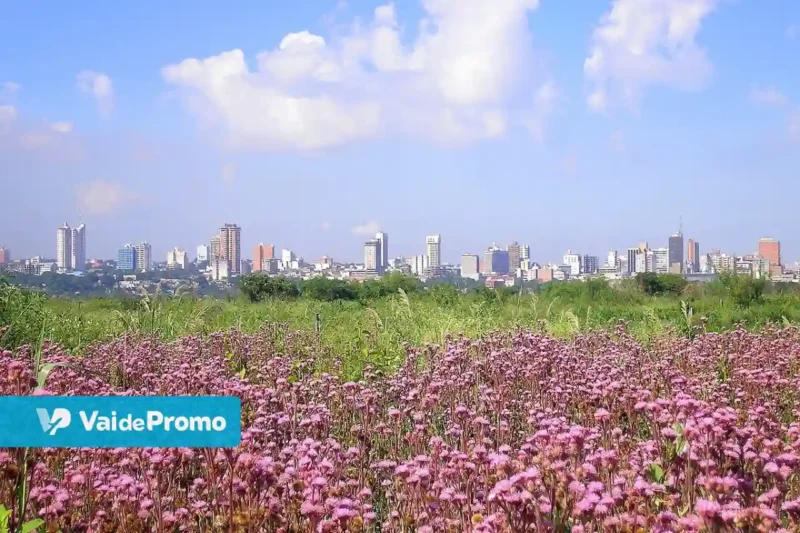 O que fazer em Assunção: saiba o que visitar na capital do Paraguai!